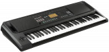 Korg EK-50 Keyboard, Arranger